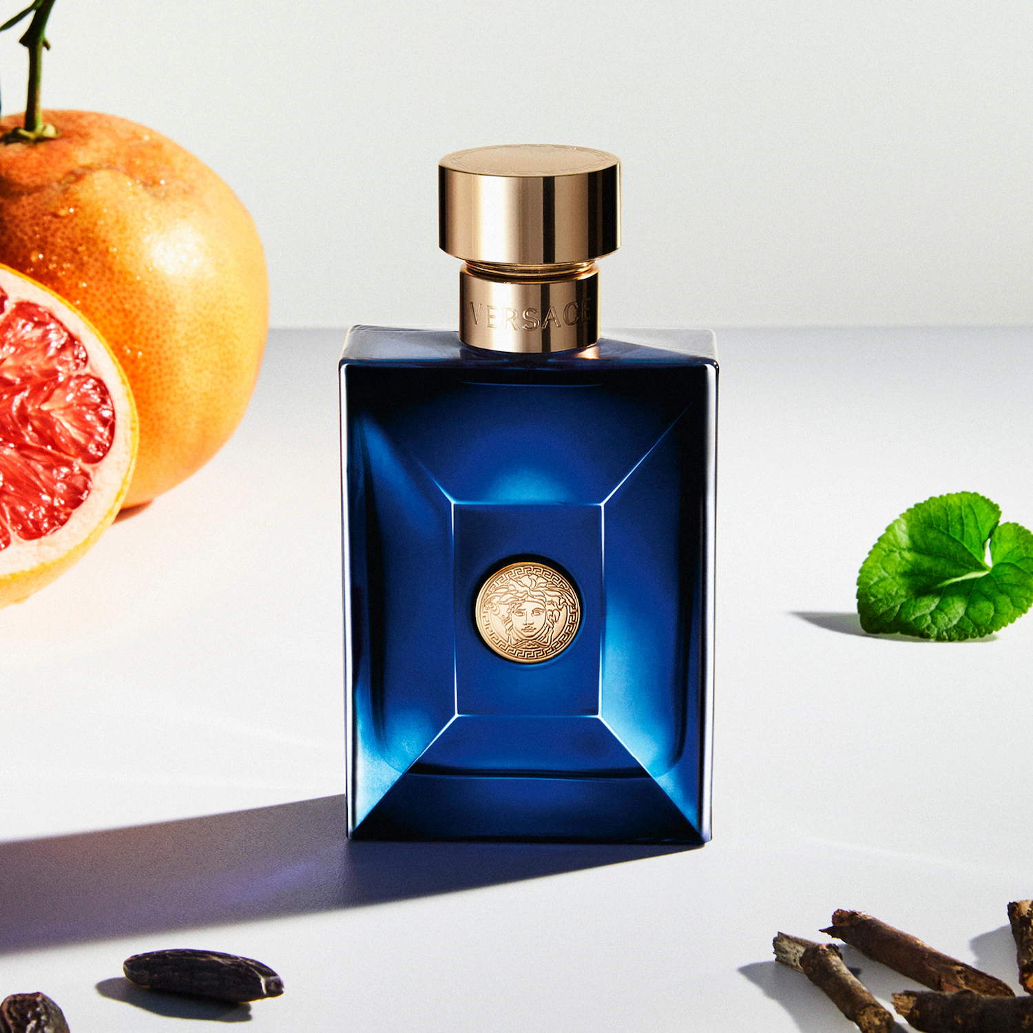 versace dylan blue