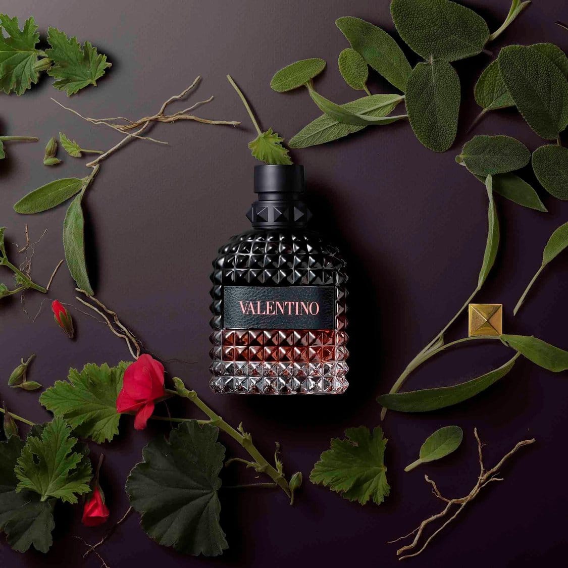 best valentino cologne