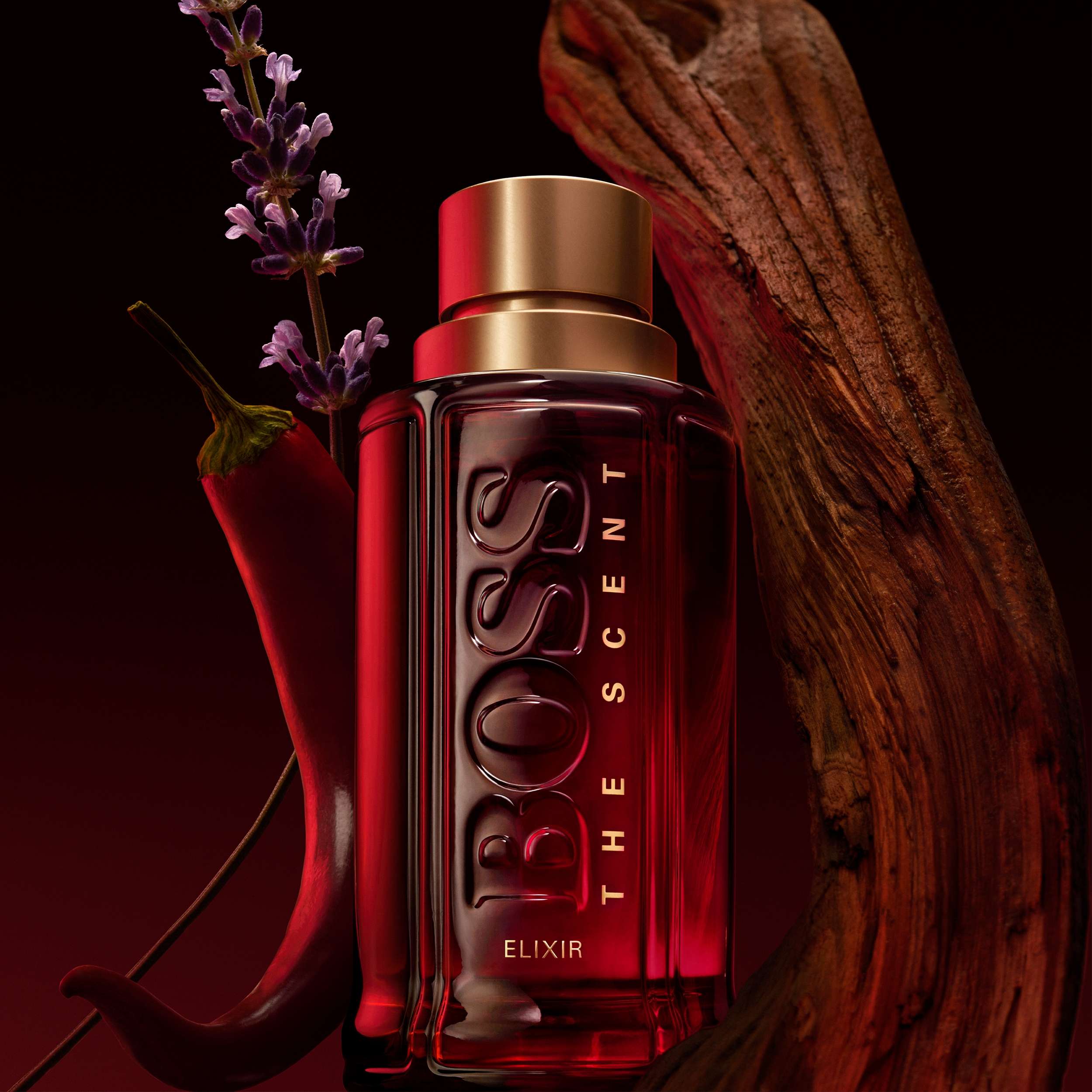 hugo boss the scent elixir