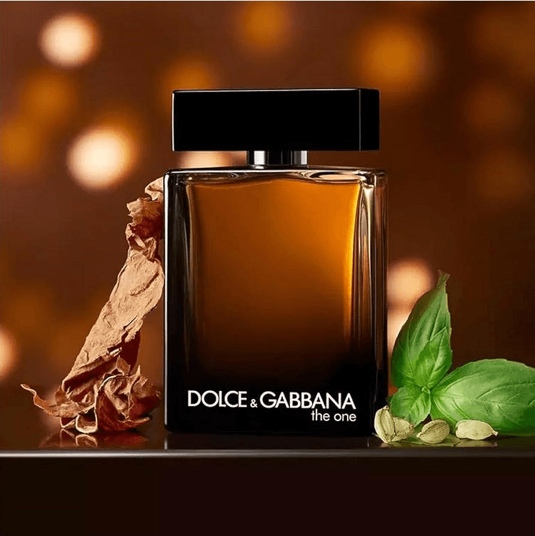 best dolce and gabbana cologne