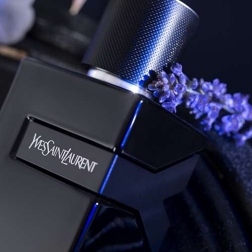 ysl y le parfum