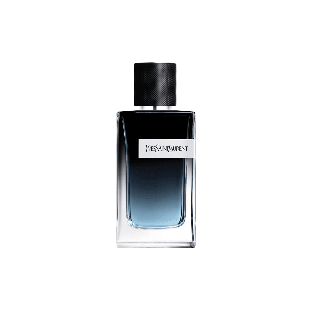 ysl y edp